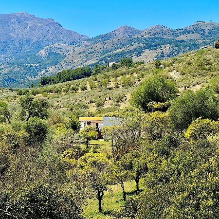 Finca Martina Lägenhet Casarabonela Exteriör bild