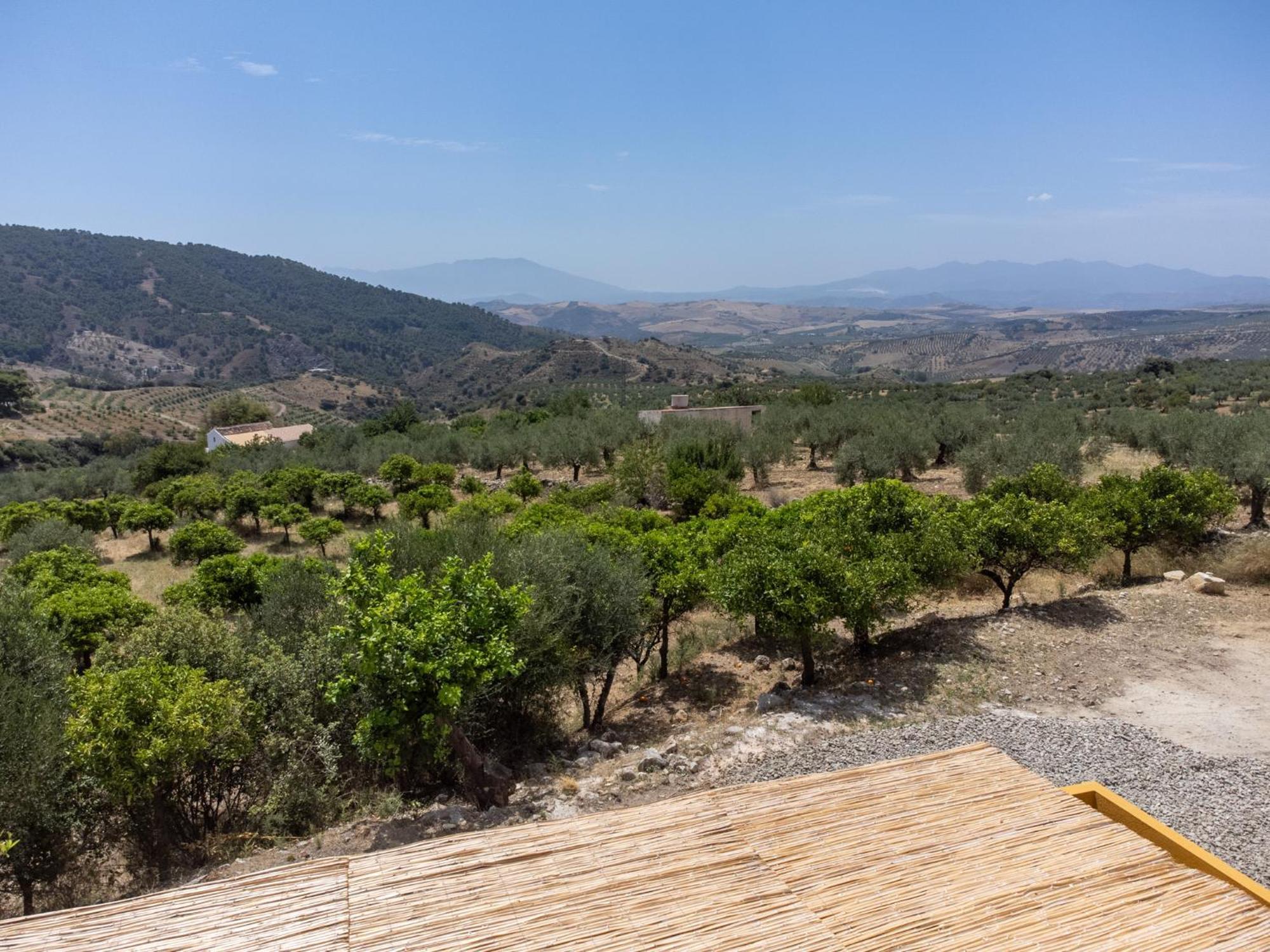 Finca Martina Lägenhet Casarabonela Exteriör bild