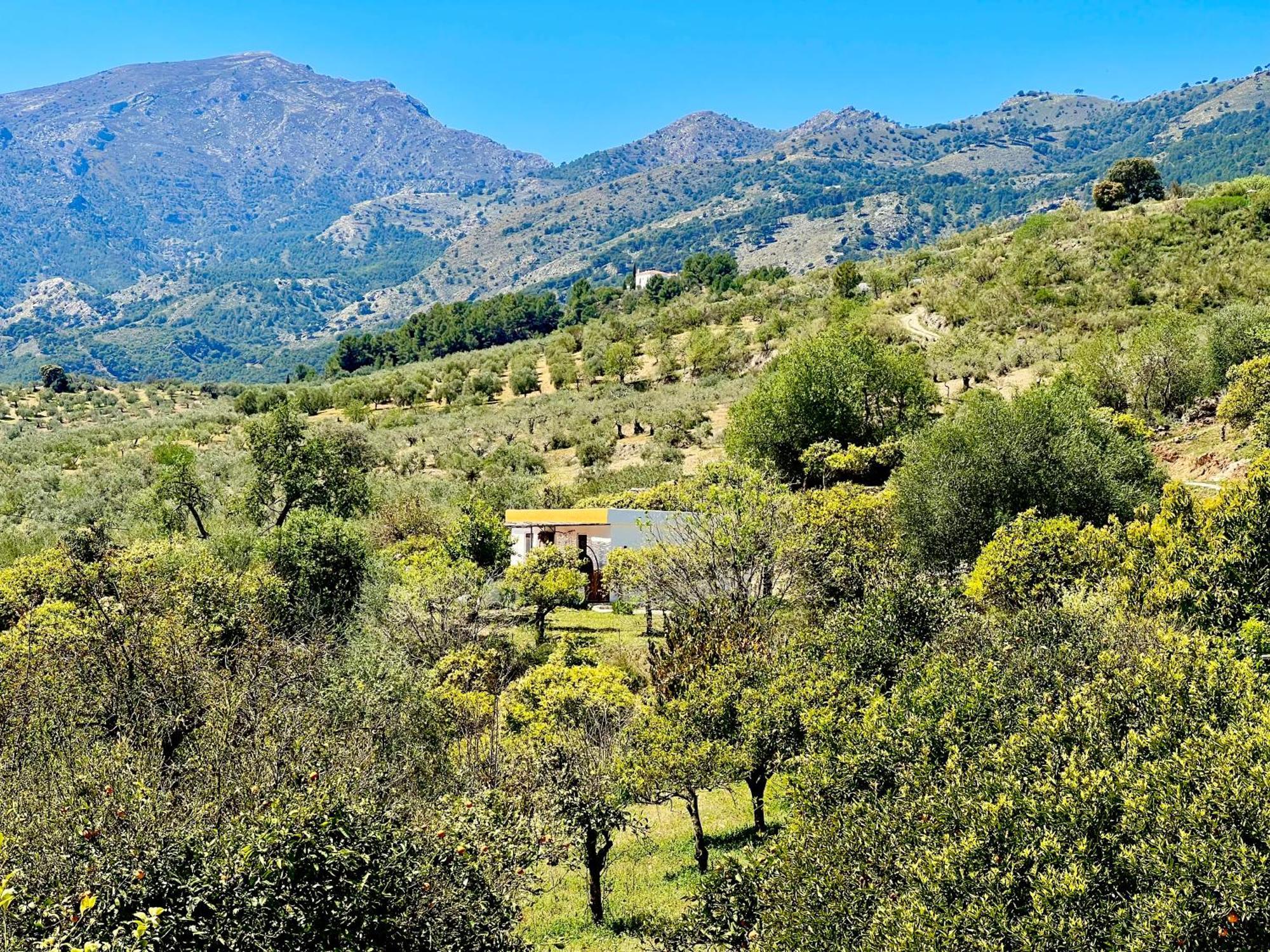 Finca Martina Lägenhet Casarabonela Exteriör bild